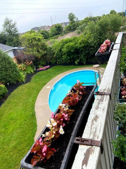 Poolside Entire Lower Level Apt Whitby Exterior photo